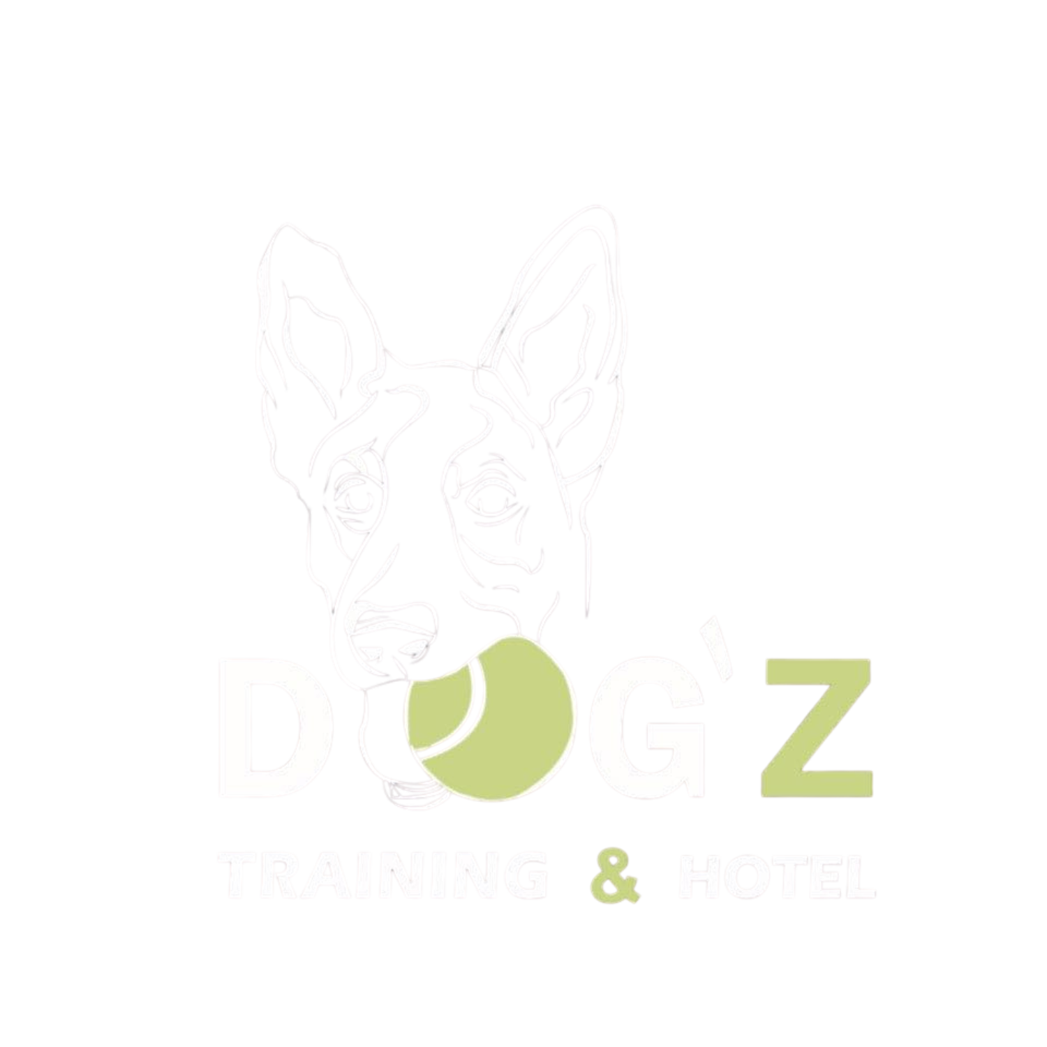 Dog'Z Training & Hotel