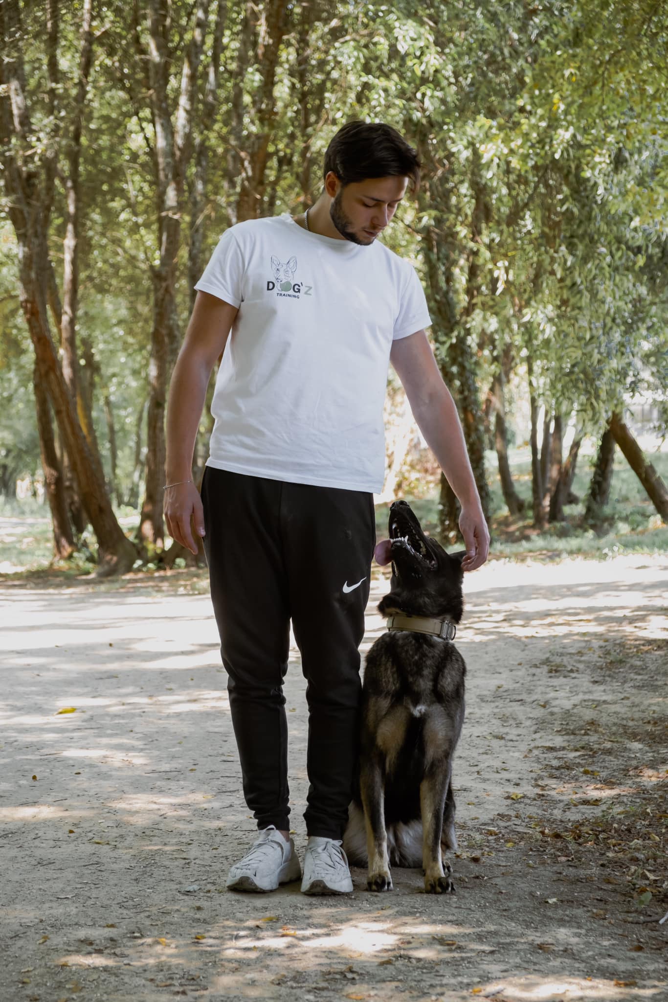 Cães felizes no Dog'Z