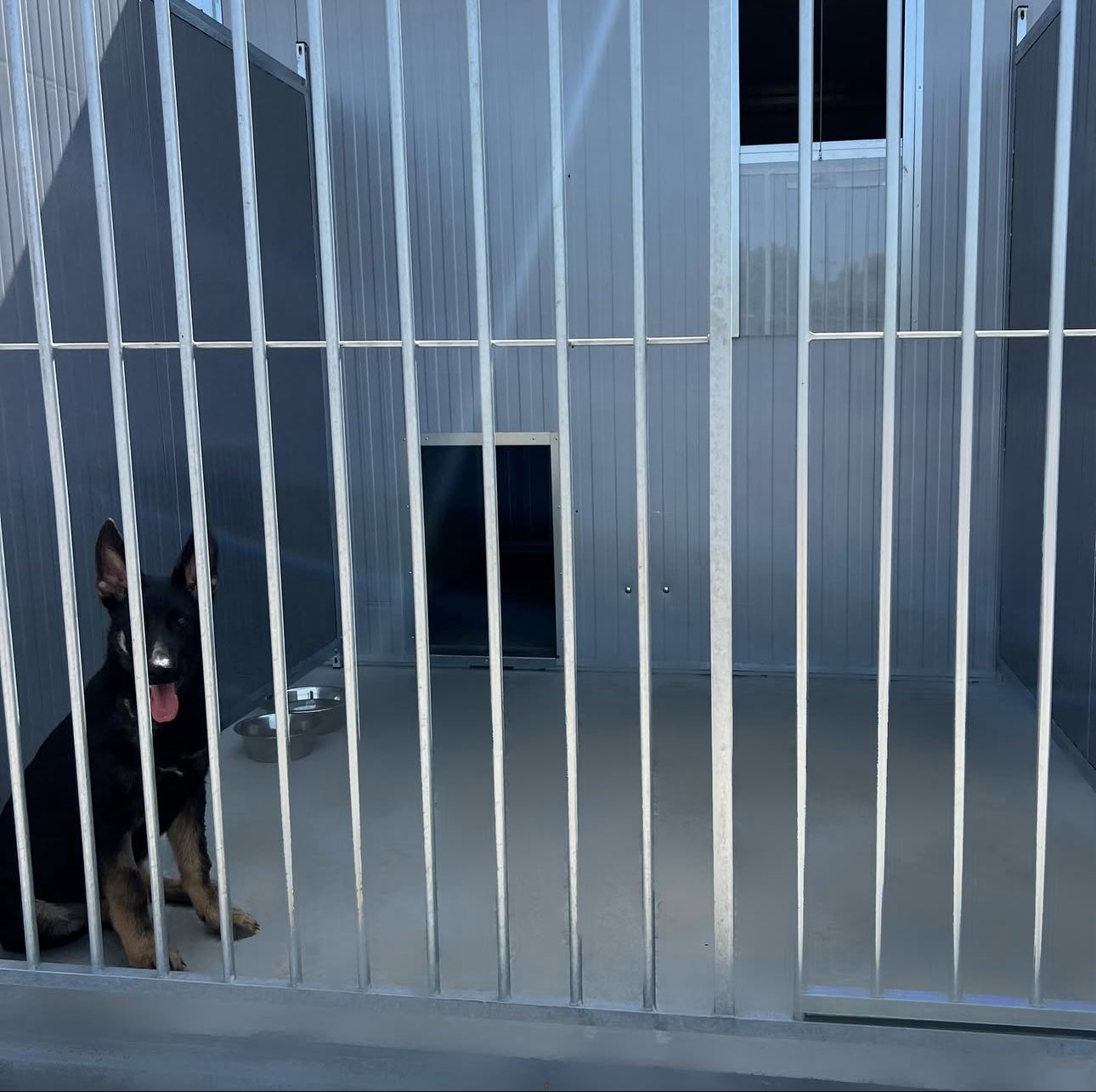 Momentos especiais no Dog'Z